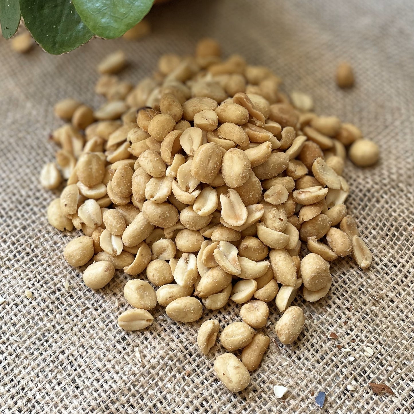 VASETTO PEANUTS