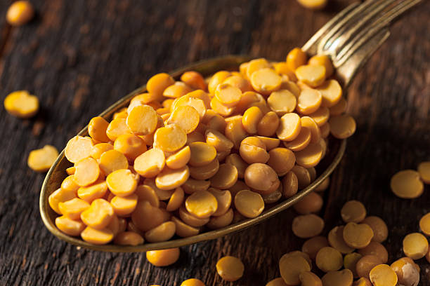 VASETTO HIGH PROTEIN
